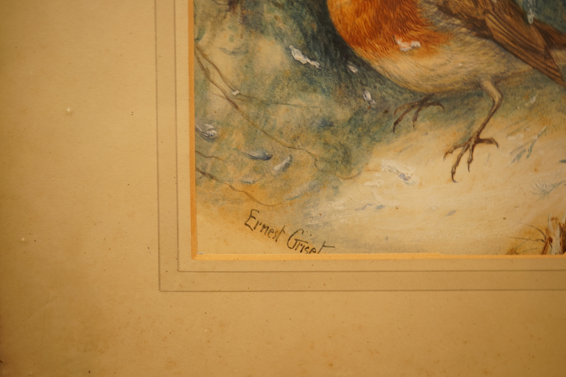 Ernest Griset (French, 1843-1907), study of a robin in winter, signed, watercolour heightened with white, 22 x 19cm